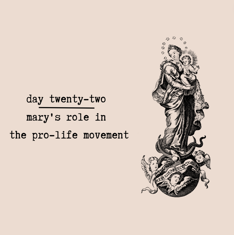 Day Twenty-Two - Mary's Role in the Pro-Life Movement