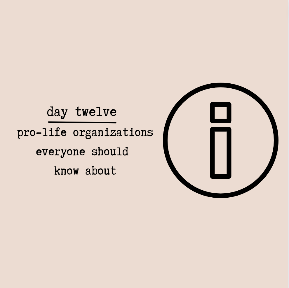 Day Twelve - Pro-Life Organizations Everyone Should Know About