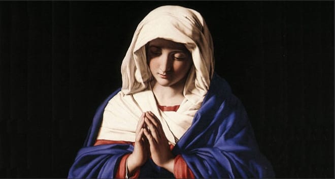 December 2025 & January 2026 Newsletter