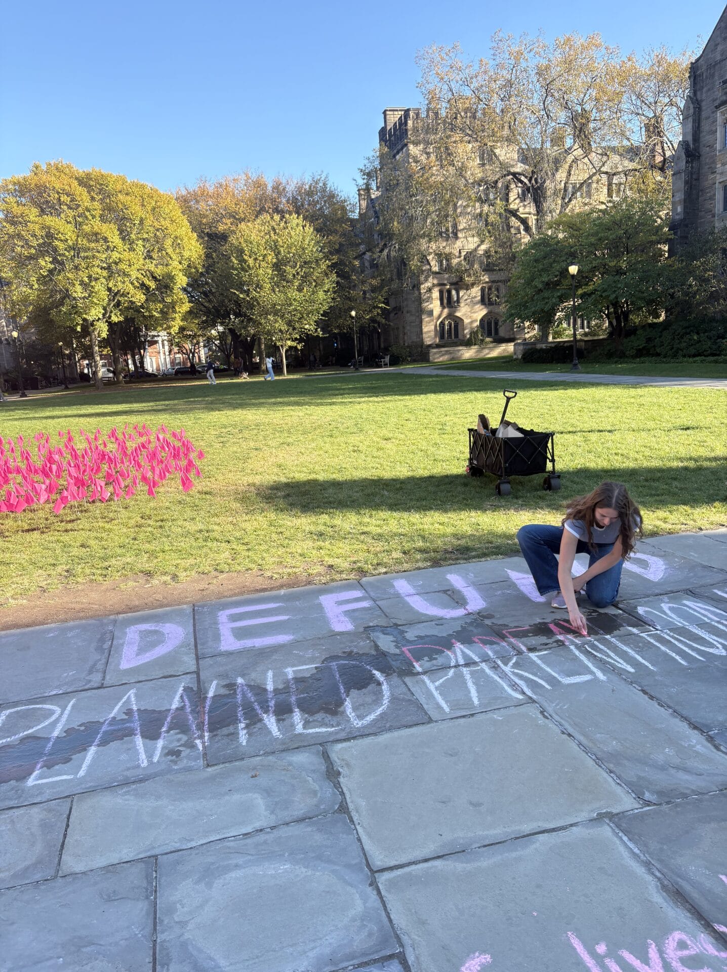 November 2025 Newsletter