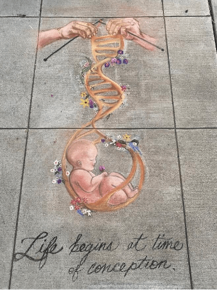 November 2025 Newsletter